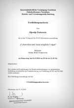 Cyberrisiken und deren mögliche Folgen